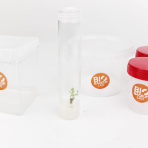 Contenedores cultivo invitro